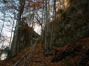 Zamkowa Góra , Pieniny